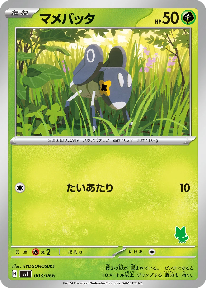 マメバッタ FRONT