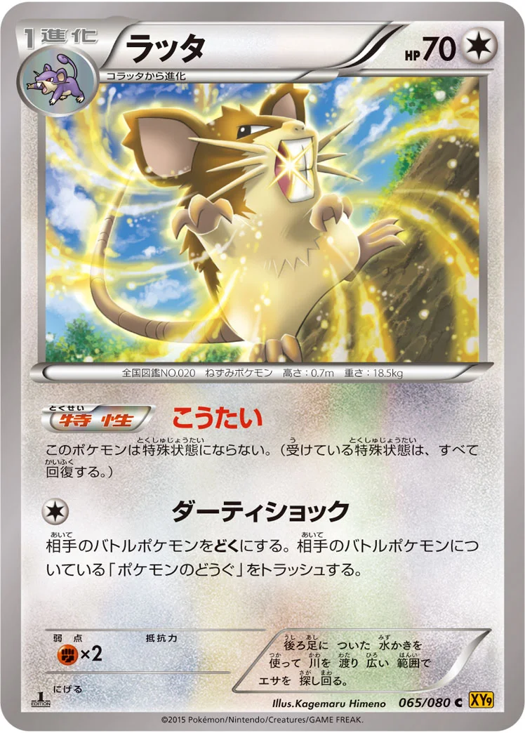 ラッタ (XY9-B 065/080)