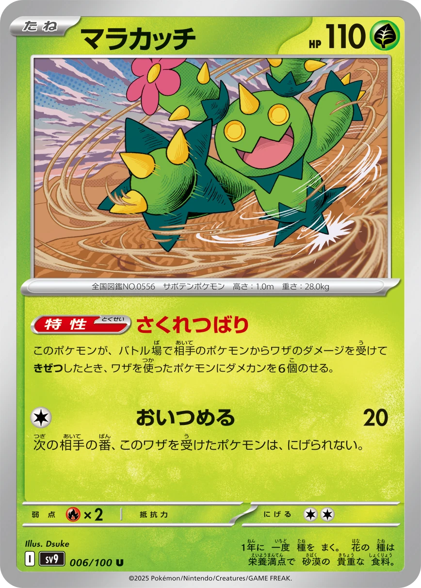マラカッチ FRONT