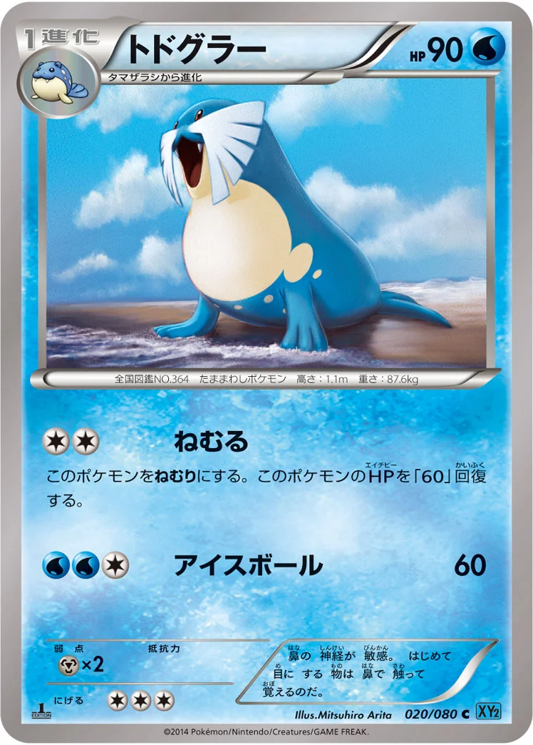 トドグラー (XY2 020/080)