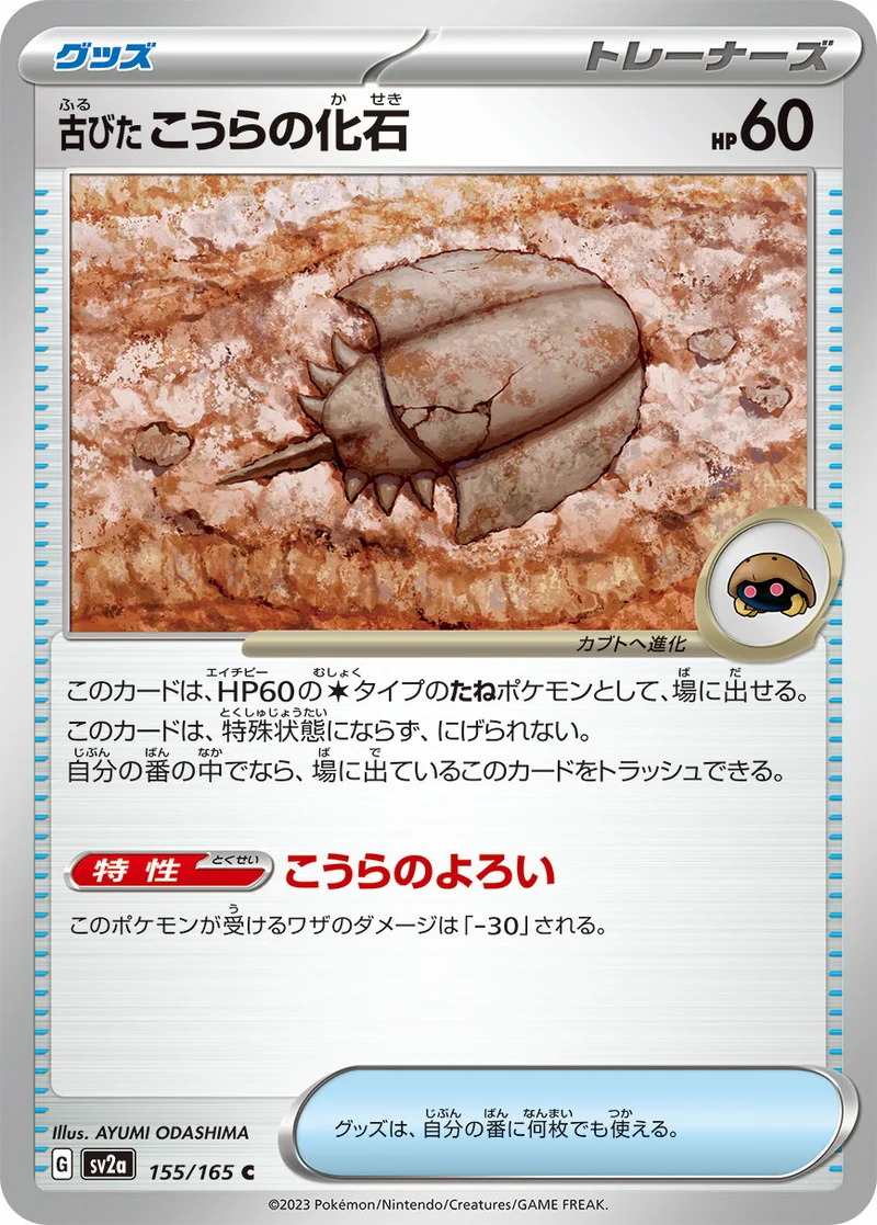 古びたこうらの化石 (SV2a 155/165)