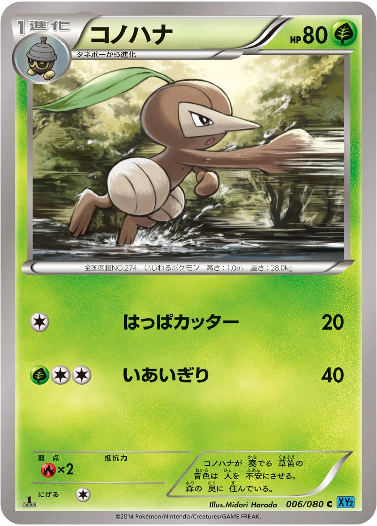 コノハナ (XY2 006/080)
