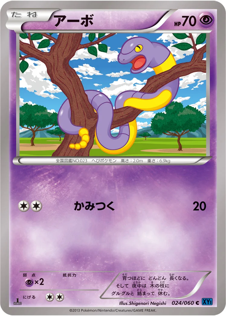 アーボ (XY1-Bx 024/060)