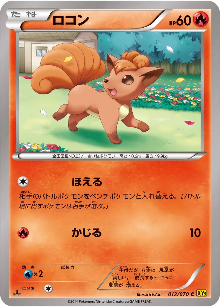 ロコン (XY5-Bg 012/070)