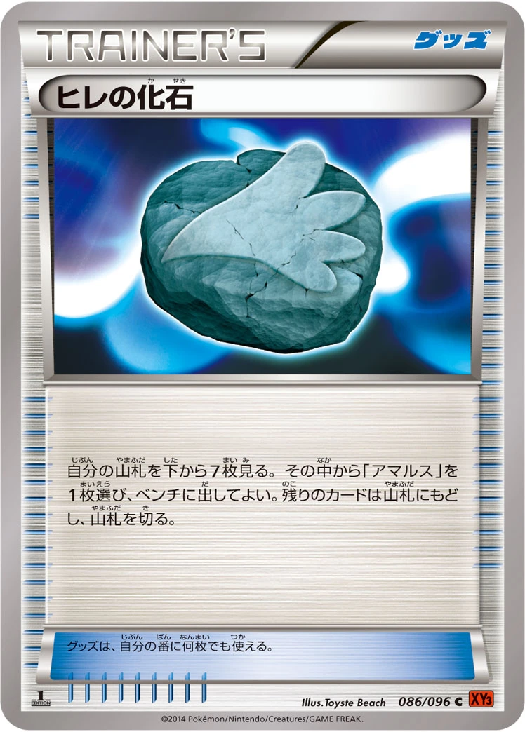 ヒレの化石 FRONT