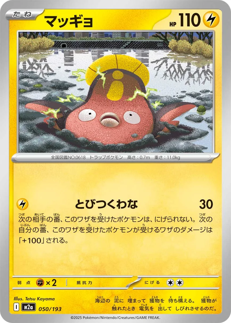 マッギョ (M2a 050/193)
