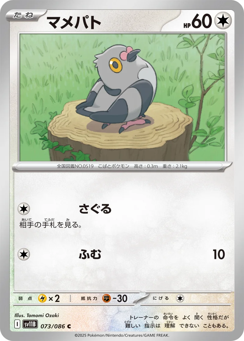 マメパト (SV11B 073/086)