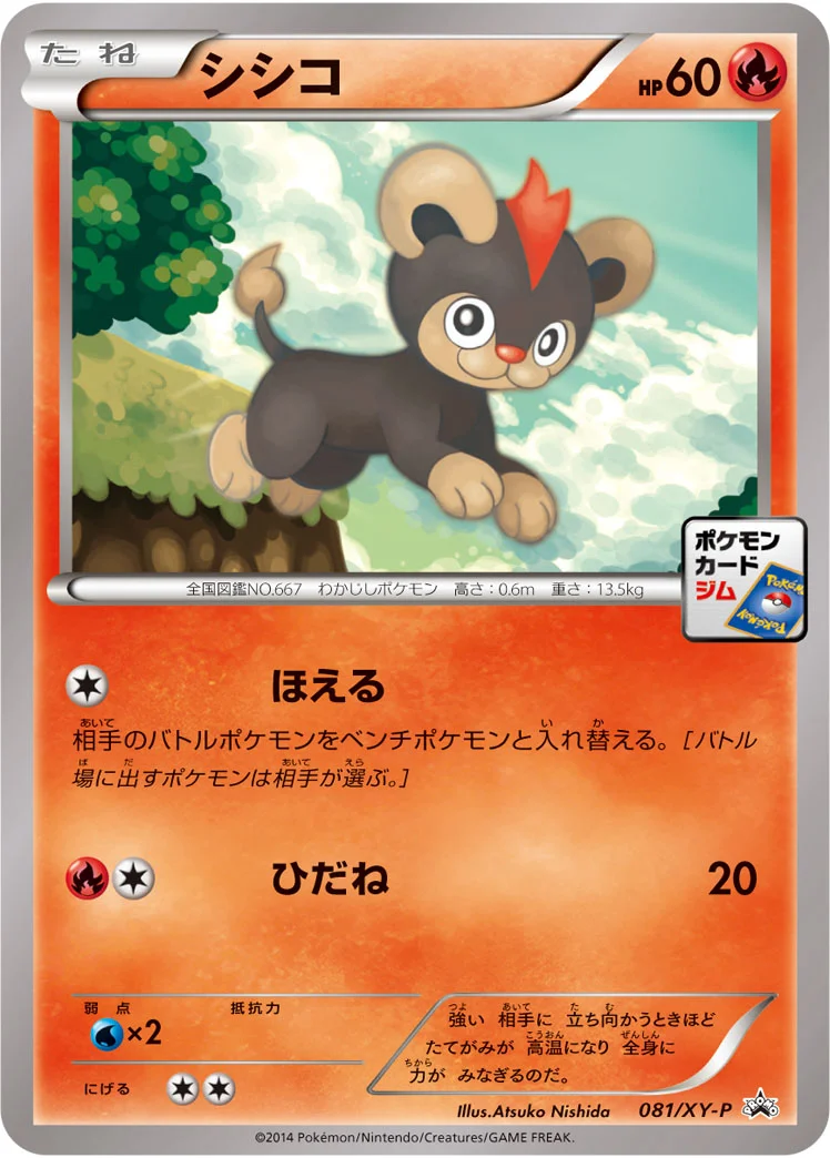 シシコ (XYP 081/XY-P)