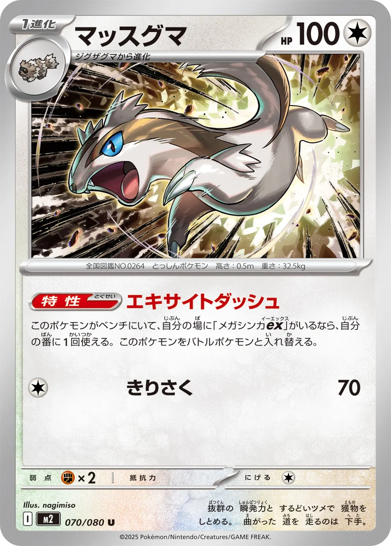 マッスグマ (M2 070/080)