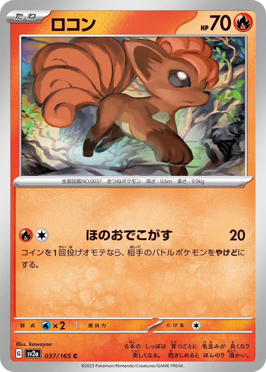 ロコン FRONT