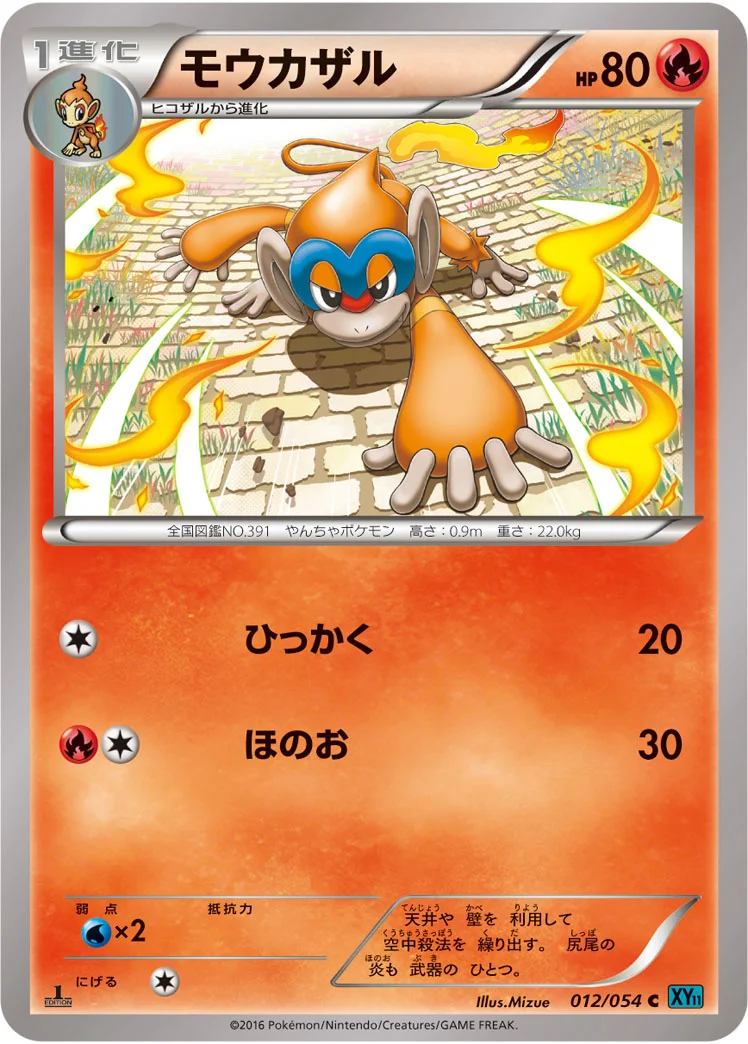 モウカザル (XY11-Br 012/054)