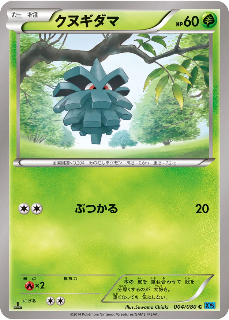 クヌギダマ (XY2 004/080)