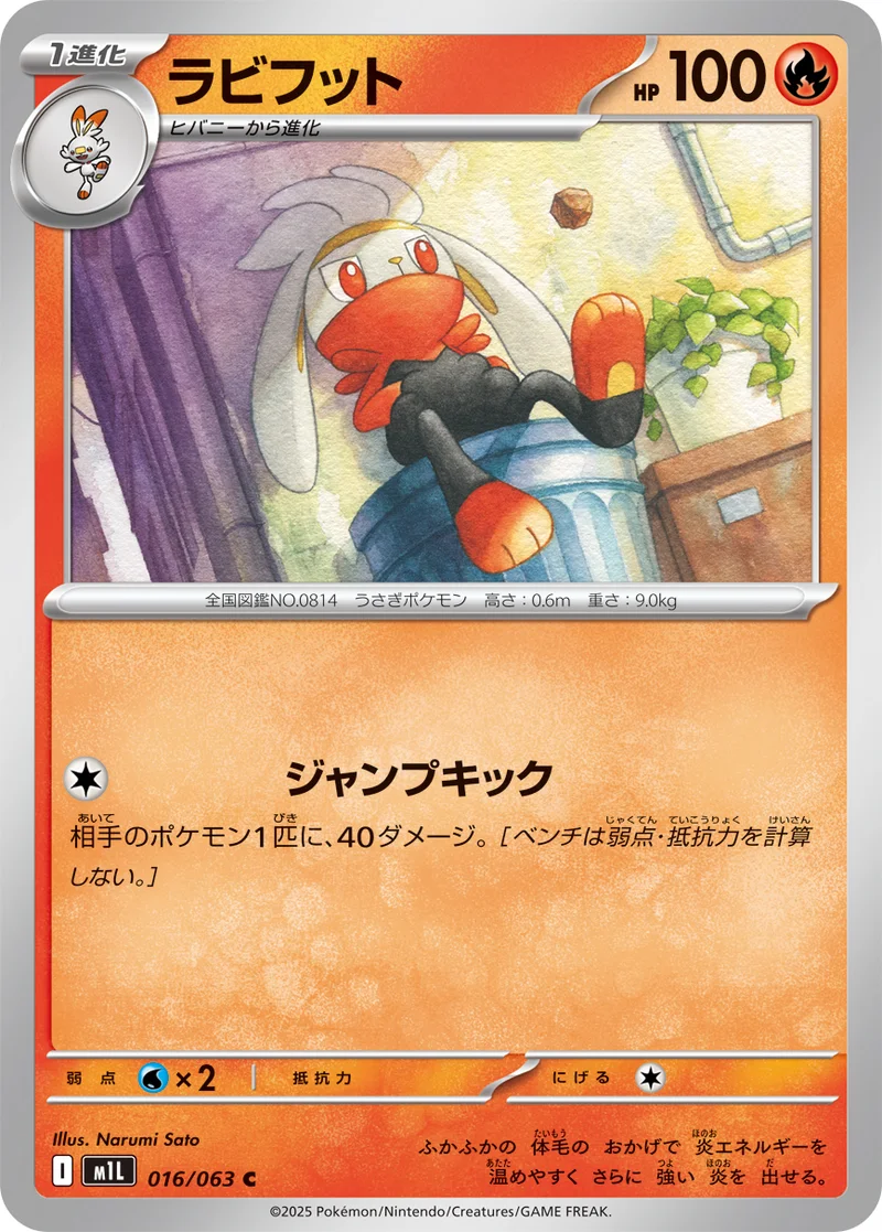 ラビフット (M1L 016/063)
