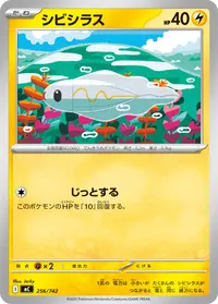 シビシラス (MC 256/742)