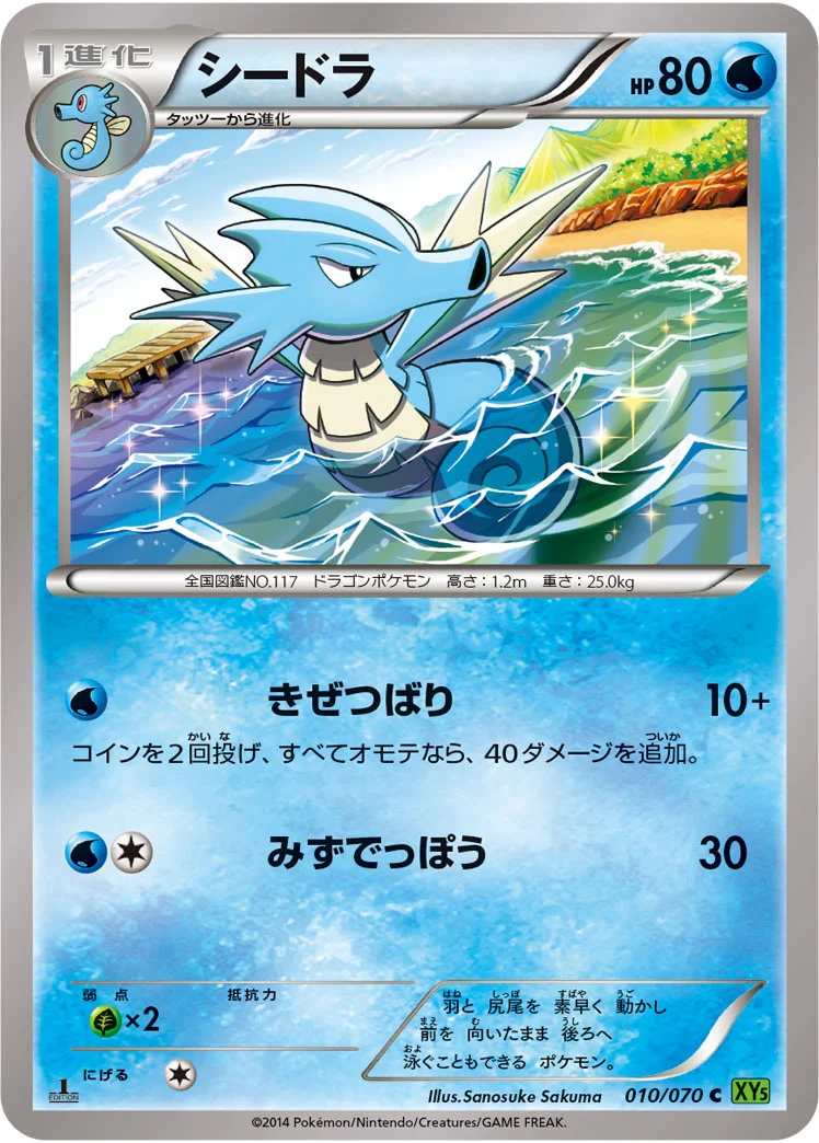 シードラ (XY5-Bt 010/070)