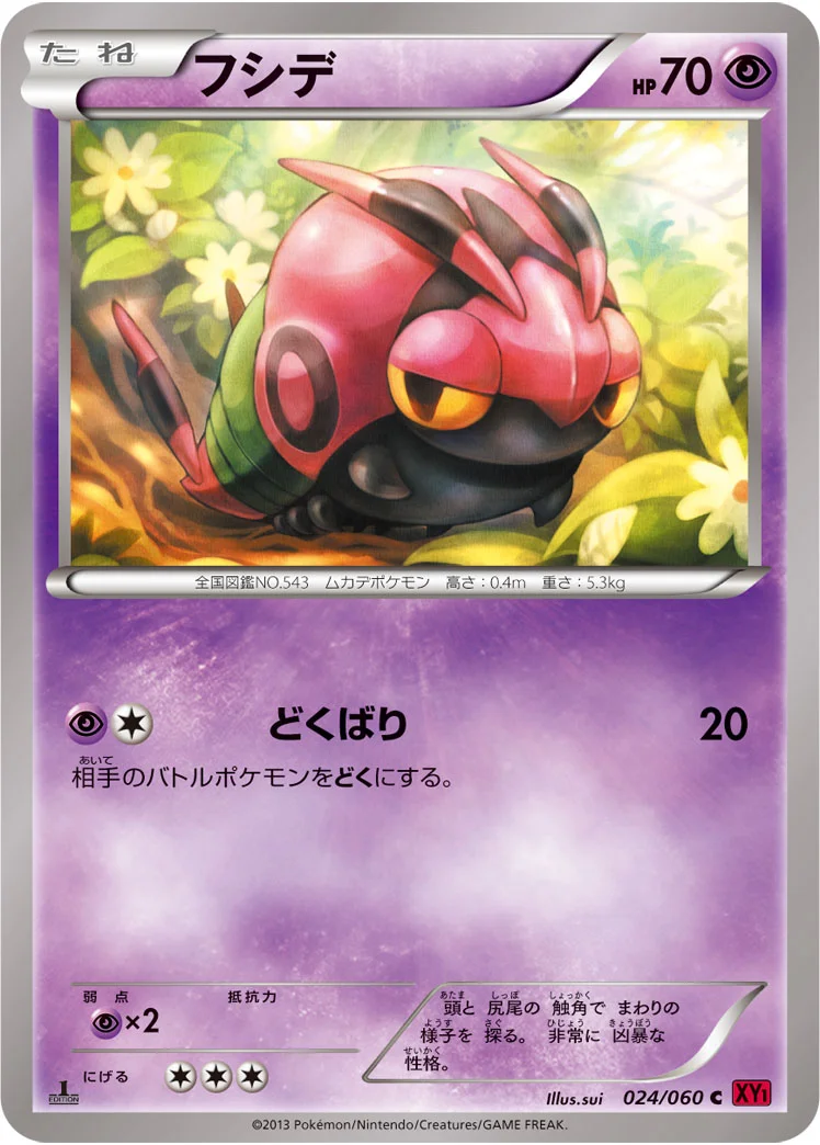 フシデ (XY1-By 024/060)