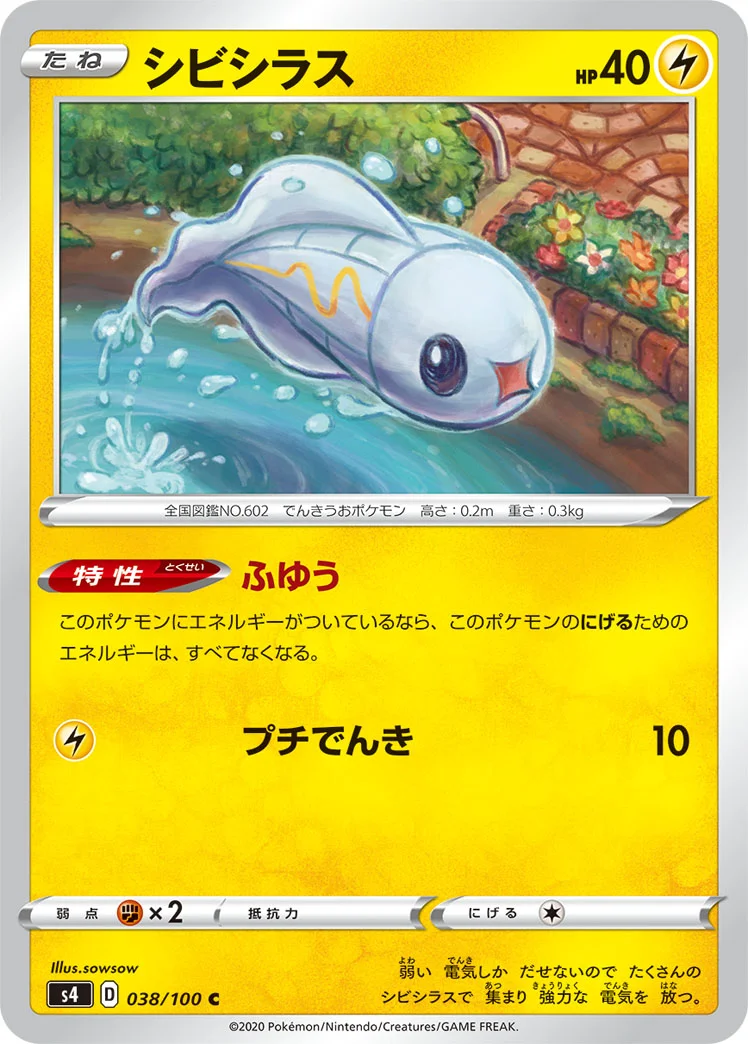 シビシラス (S4 038/100)