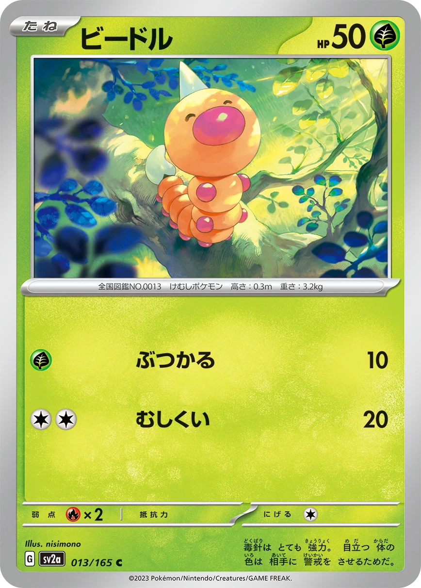 ビードル FRONT