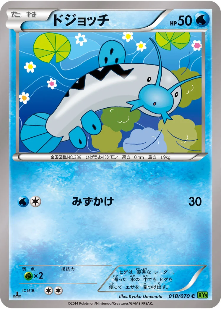 ドジョッチ (XY5-Bt 018/070)