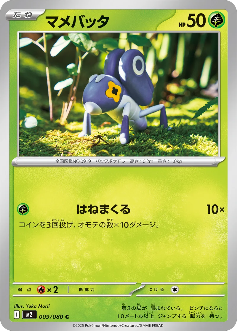 マメバッタ (M2 009/080)