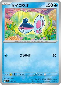 ケイコウオ (MC 195/742)