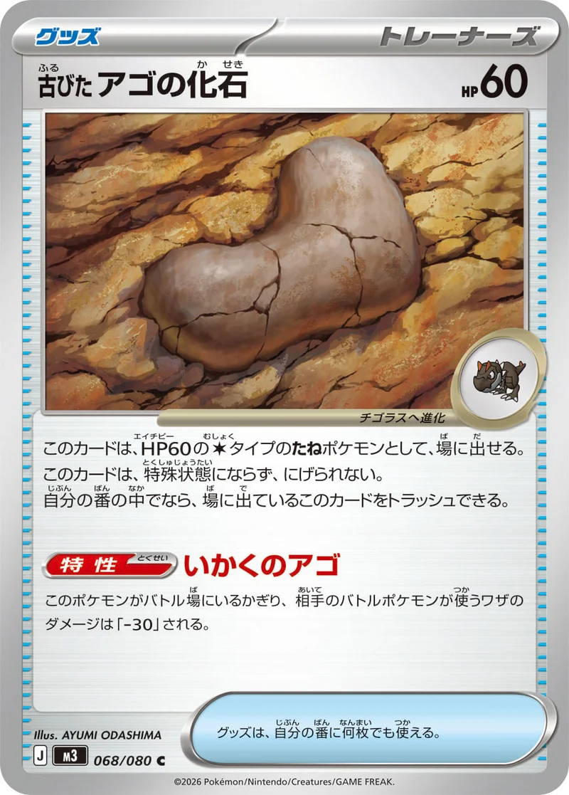 古びたアゴの化石 (M3 068/080)