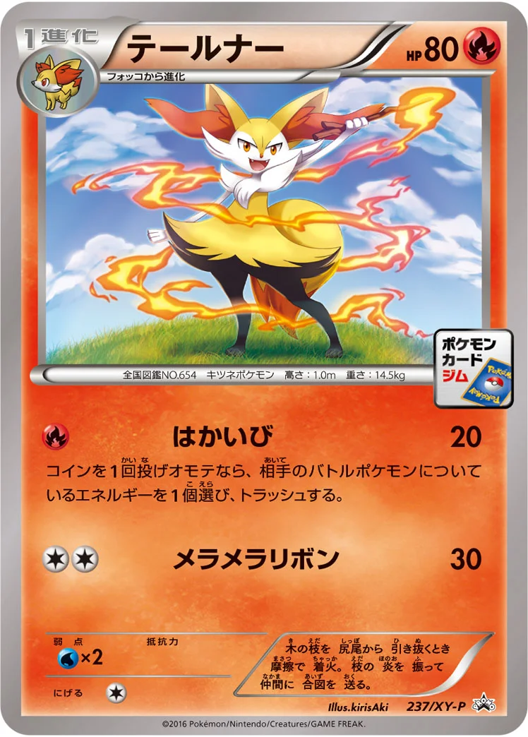 テールナー (XYP 237/XY-P)