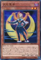 月光黒羊 (DBLE-JP012) - P+N