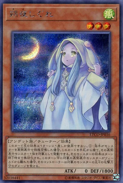 朔夜しぐれ (ETCO-JP036)