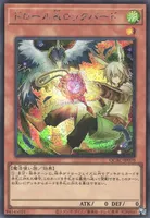 ドロール&ロックバード (ドロール&ロックバード)