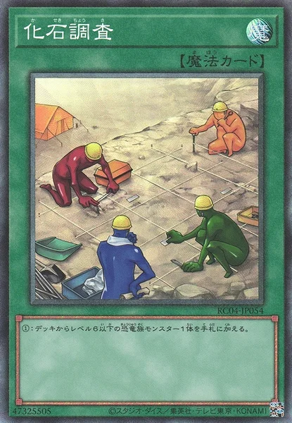 化石調査 (RC04-JP054)