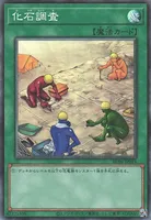 化石調査 (RC04-JP054) - CR