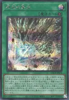 原石の穿光 (LOCR-JP074) - SE