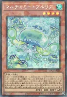 マルチャミー・プルリア (LOCH-JP046) - CR