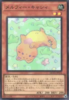 メルフィー・キャシィ (cmh0nwkwq27g2sdiuvqd0kv8s)