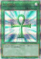死者蘇生 (QCAC-JP023) - QCSE