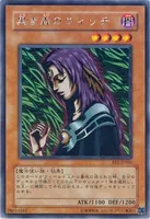 黒き森のウィッチ (BE2-JP066) - R