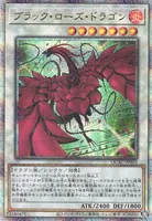 ブラック・ローズ・ドラゴン (QCAC-JP003) - QCSE(AA)