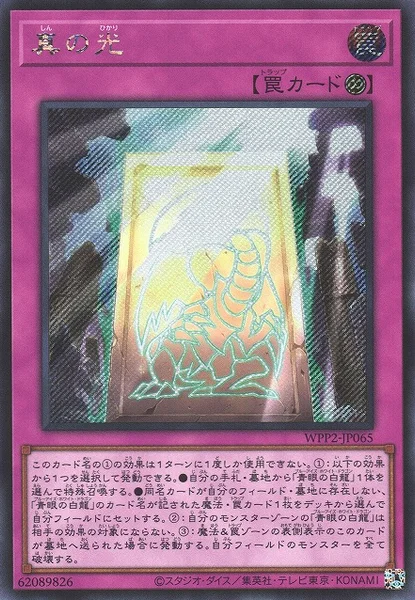 真の光 (WPP2-JP065)