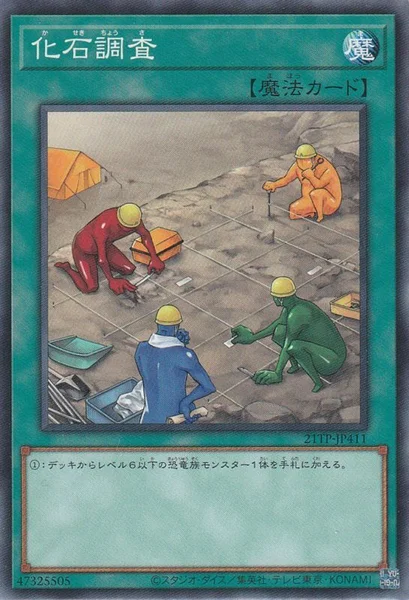化石調査 (21TP-JP411)