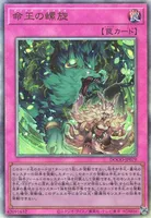 命王の螺旋 (DOOD-JP079) - UL