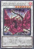 ブラック・ローズ・ドラゴン (QCAC-JP003) - SE