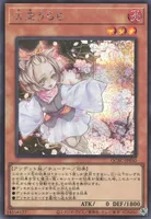 灰流うらら (QCAC-JP050) - SE