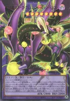 四天の龍 スターヴ・ヴェノム・フュージョン・ドラゴン (LOCR-JP013) - UR(Overframe)