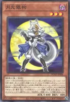 月光銀狗 (cmh0nnvp026ddsdiuwo4dhwcf)