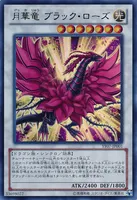 月華竜 ブラック・ローズ (月華竜_ブラック・ローズ)