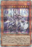 迷宮城の白銀姫 (QCAC-JP011) - QCSE