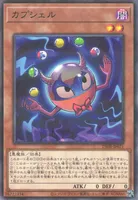 カプシェル (25DB-JP021) - P+N