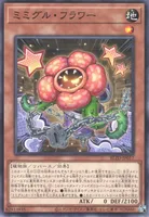 ミミグル・フラワー (BLZD-JP017) - N