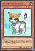 レスキューキャット (cmh0pqubq2edzsdiuyonm5pm3)